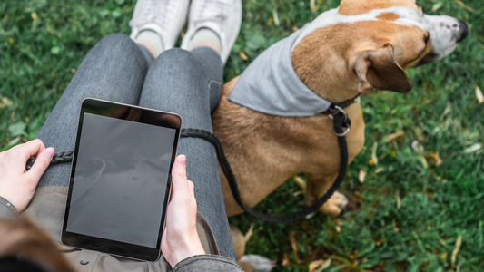 How Pet Parents can Ensure the Safety of their Pets with GPS  Devices?